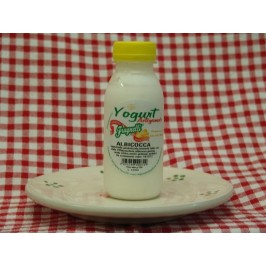 Yogurt artigianale all'albicocca con latte fresco