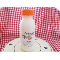 Vendita online Yogurt artigianale al limone con latte fresco